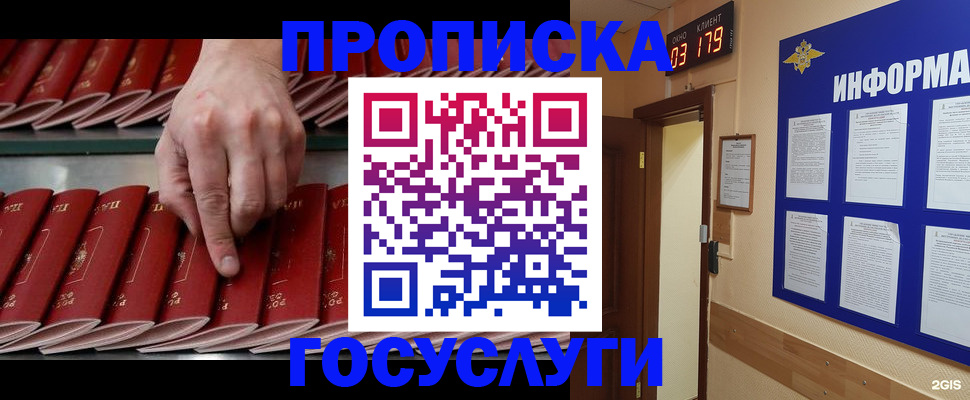 форма 3 в Камчатском крае